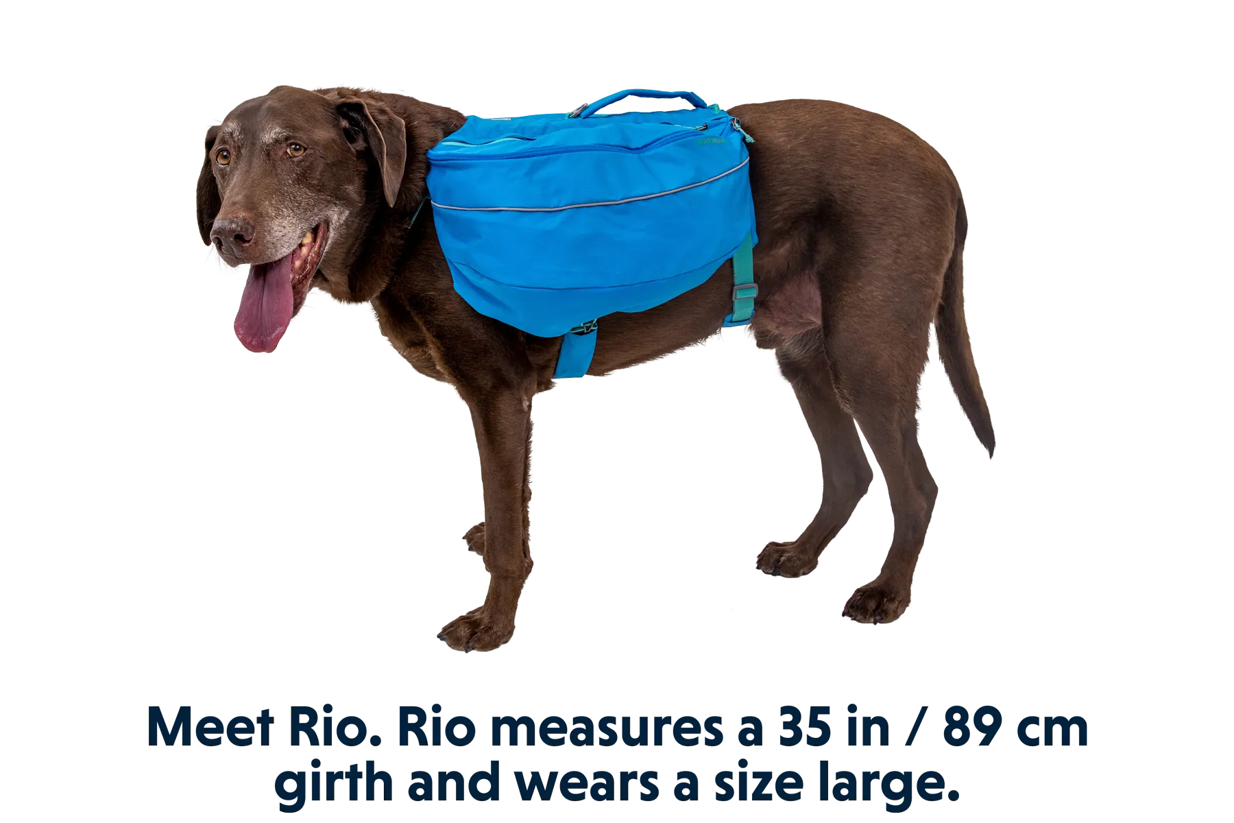 Approach™ Dog Backpack