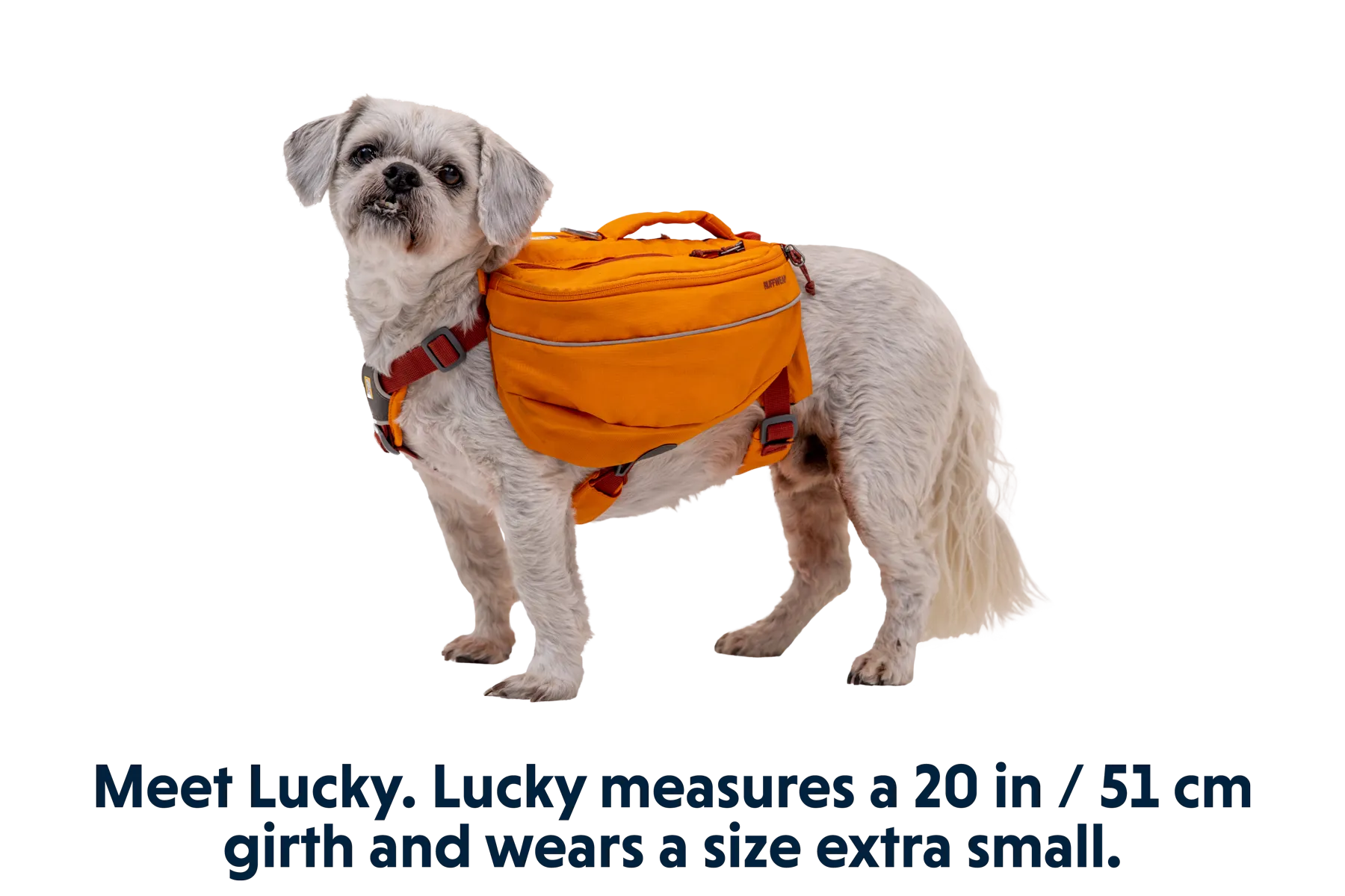 Approach™ Dog Backpack