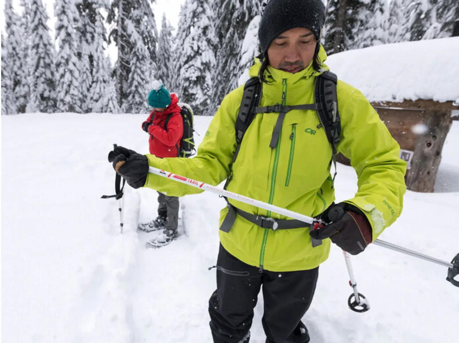MSR DynaLock Trail Poles