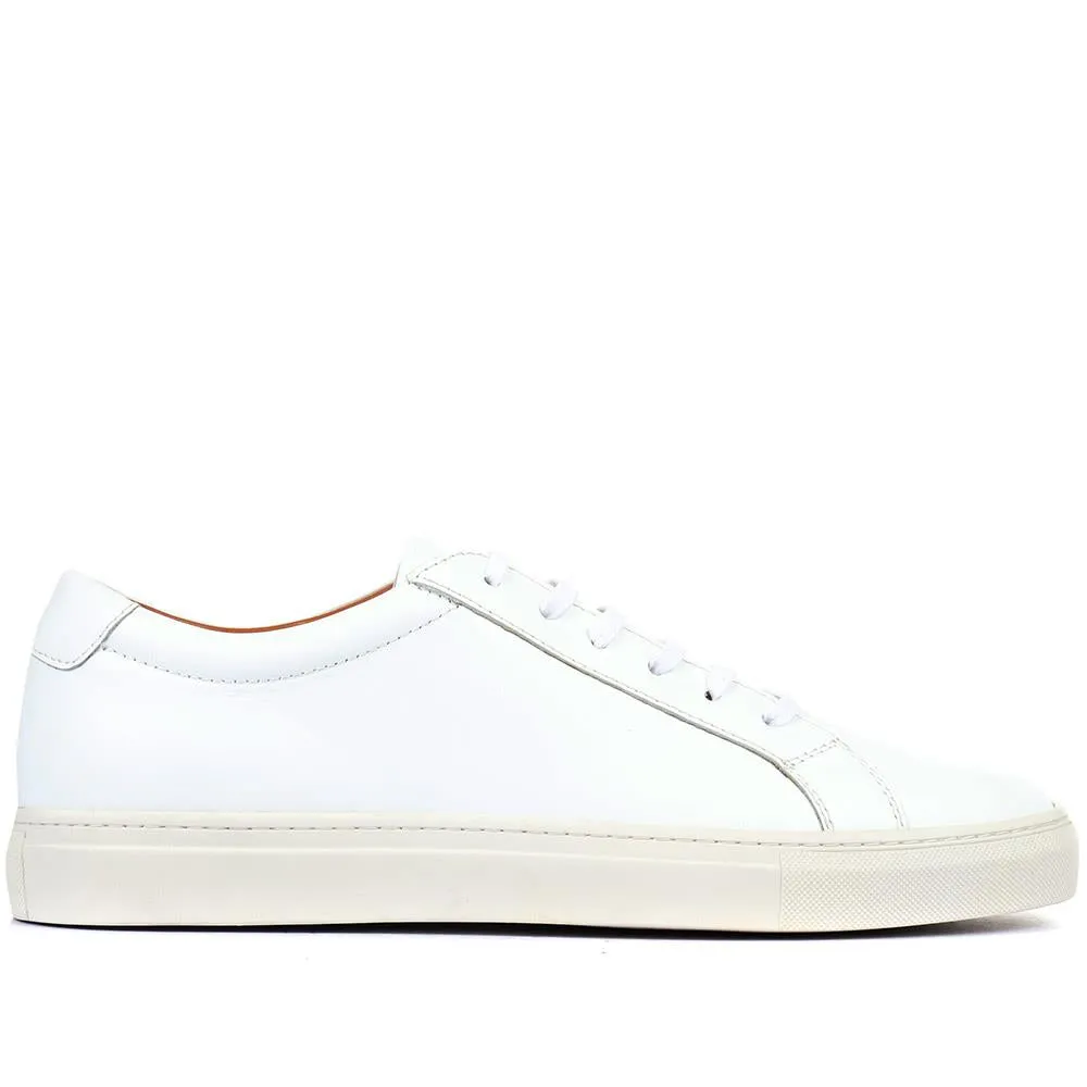 Sutton Leather Sneakers / 320 905