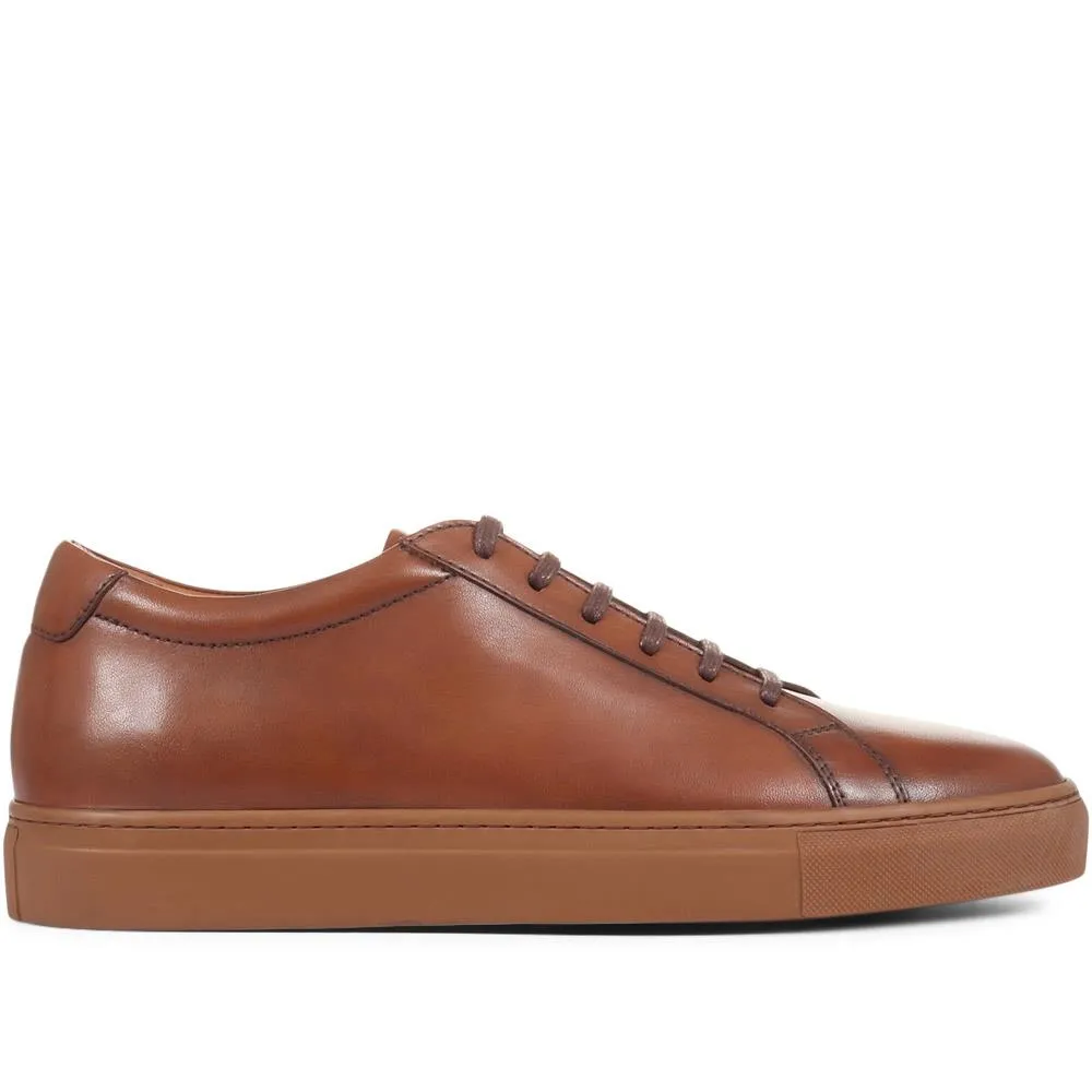 Sutton Leather Sneakers / 320 905