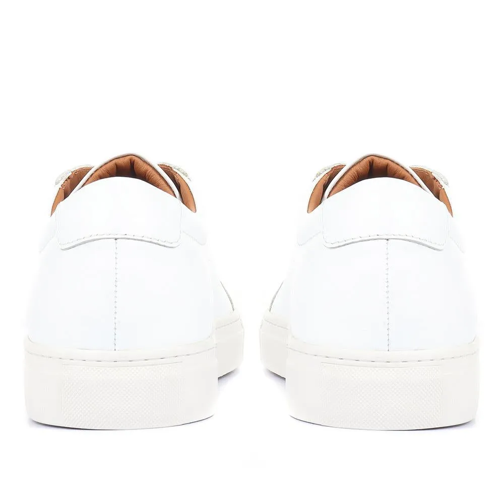 Sutton Leather Sneakers / 320 905
