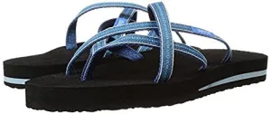 Teva Women's Olowahu Flip-Flop (8 B(M) US / 39 EUR, Pintado Blue)