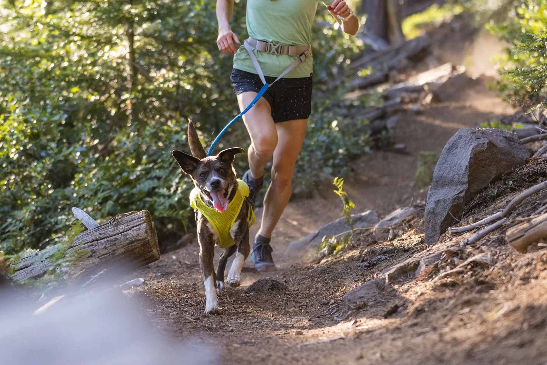 Trail Runner Lead