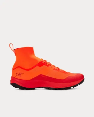 Vertex Bright Phenom / Black Running Shoes