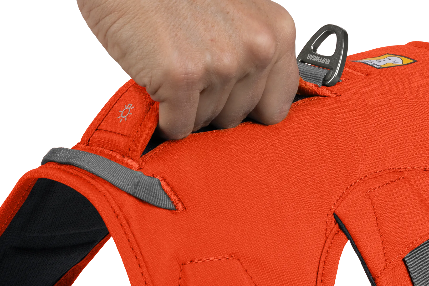 Web Master™ Dog Harness with Handle