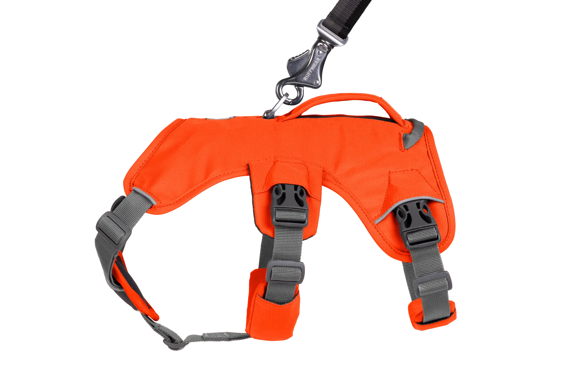 Web Master™ Dog Harness with Handle